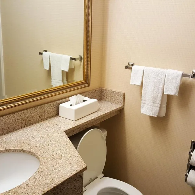 غرفة ديلوكس بسرير كوين لذوي الإعاقة، Quality Inn & Suites Charleston - Civic Center 4/4