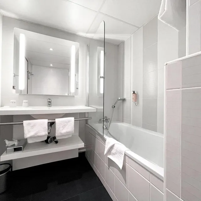 غرفة قياسية بسريرين منفصلين، Mercure Paris Porte De Versailles Expo 7/10