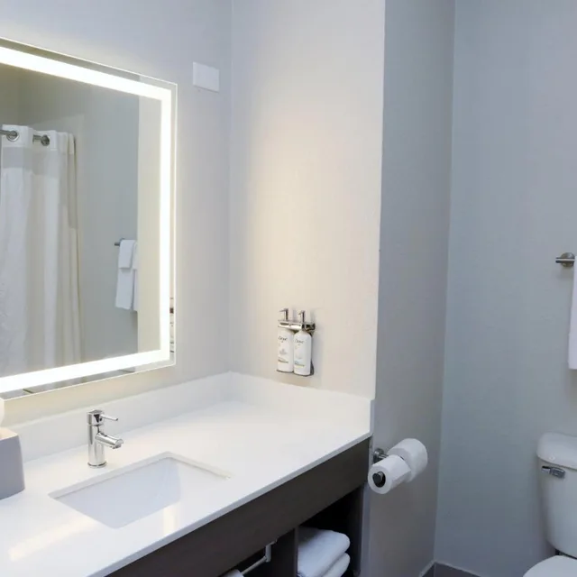 جناح بسرير كينج مع أريكة، Holiday Inn Express Hotel And Suites Baton Rouge North 5/6