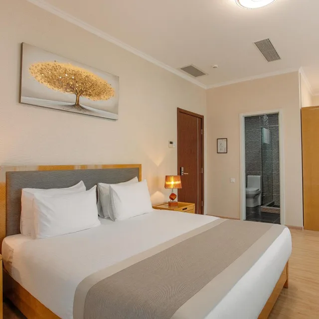 جناح بشرفة، Lisi Hills Hotel 1/10