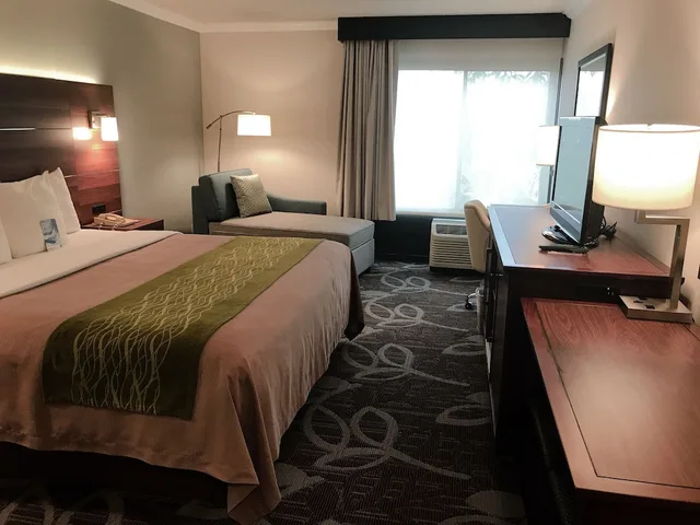 غرفة بسرير كينج بحوض استحمام لذوي الإعاقة، Comfort Inn Anaheim Resort 7/10