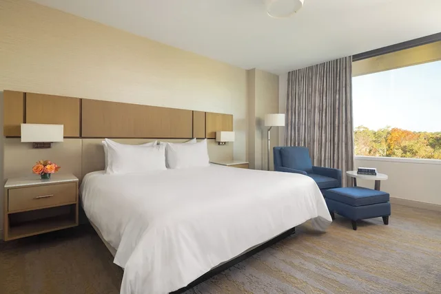 جناح بسرير كينج مع أريكة، JB Duke Hotel 1/8