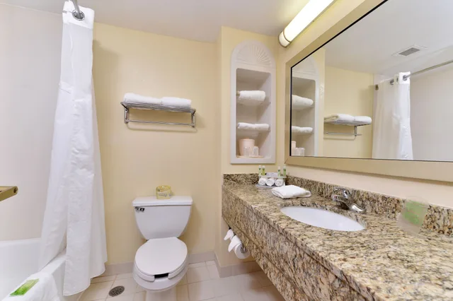 Suite, King Bed, Sofa, Holiday Inn Express Hotel And Suites Chattanooga At Lookout Mtn Tn 6/7