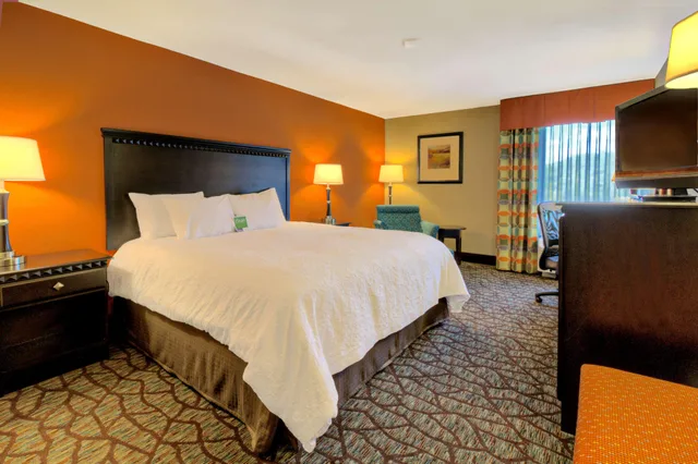 Room, Double Bed, Hampton Inn Asheville Tunnel Road 5/8