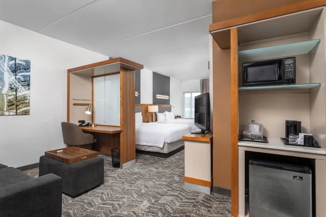 Studio, Multiple Beds, Balcony، Springhill Suites Chattanooga Downtown Cameron Harbor 6/7