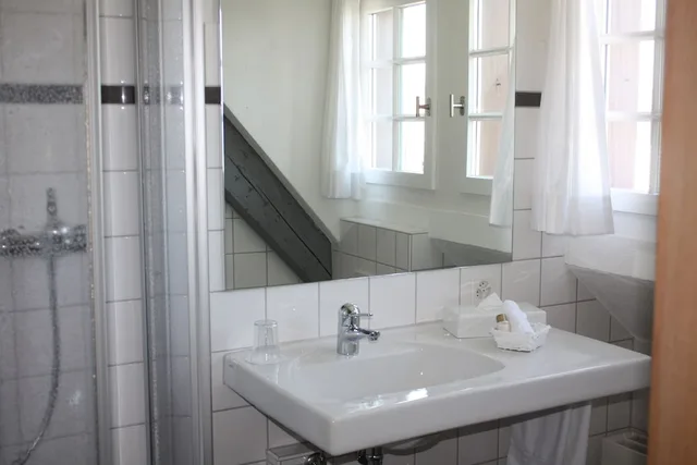 غرفة بسرير فردي، Hotel de charme Romerhof 4/6