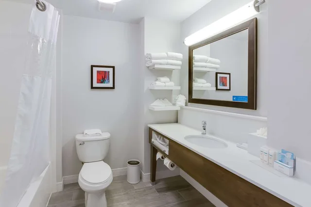 جناح استوديو بسريرين كوين، Hampton Inn White House 3/3