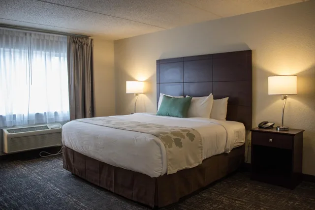 غرفة ديلوكس بسرير كينج مع أريكة، Cobblestone Suites Oshkosh 3/5