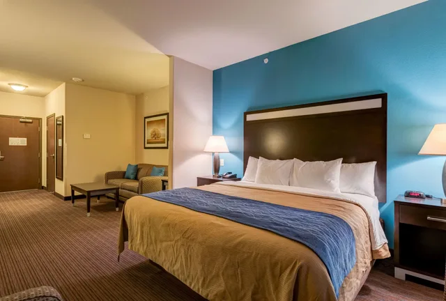 غرفة قياسية بسرير كينج، Comfort Inn And Suites 1/4