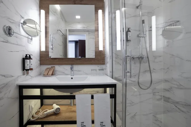 غرفة أساسية مفردة، Petit Palace Arana 8/8