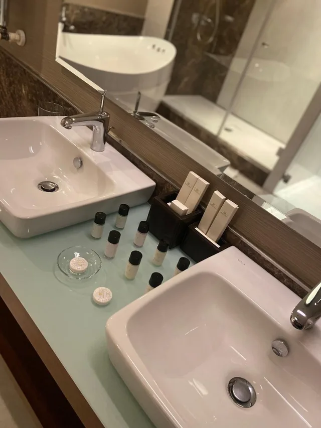 جناح رئاسي، Borjomi Likani Hotel, Borjomi 1/6