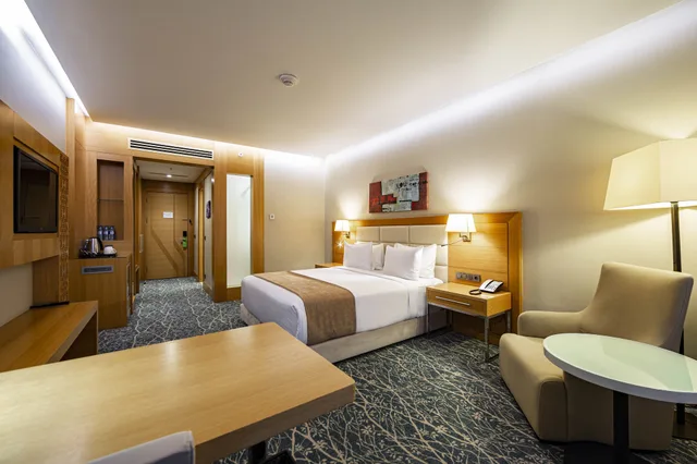 غرفة قياسية بسرير كينج لذوي الإعاقة، Holiday Inn Baku 9/10
