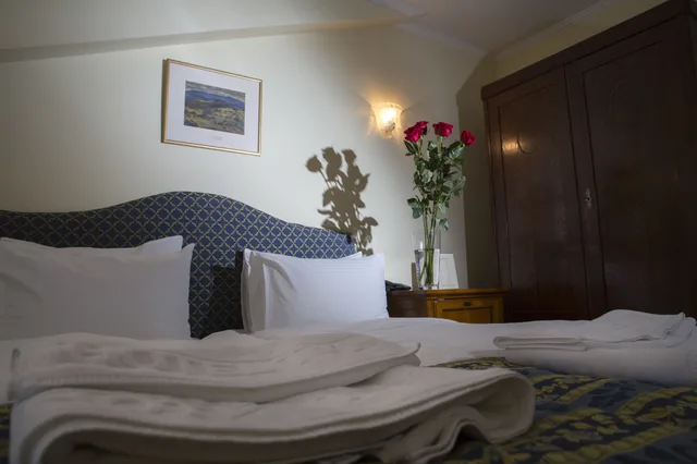 غرفة ديلوكس بسرير مزدوج، Tyl Hotel 2/4