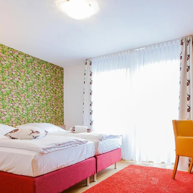 غرفة كومفورت، Hirsch Hotel 4/8