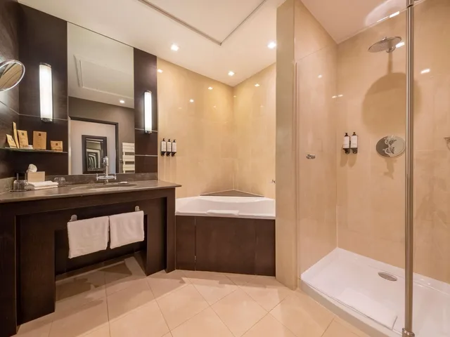 غرفة ديلوكس بسرير مزدوج أو سريرين منفصلين، La Citadelle Hotel Metz - MGallery Collection 4/4