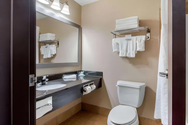 جناح بسرير كينج وسرير كوين، Comfort Inn & Suites Virden MB 9/9