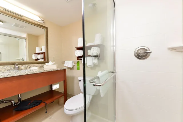 جناح استوديو بسرير كينج، Hampton Inn Detroit Auburn Hills South 2/3