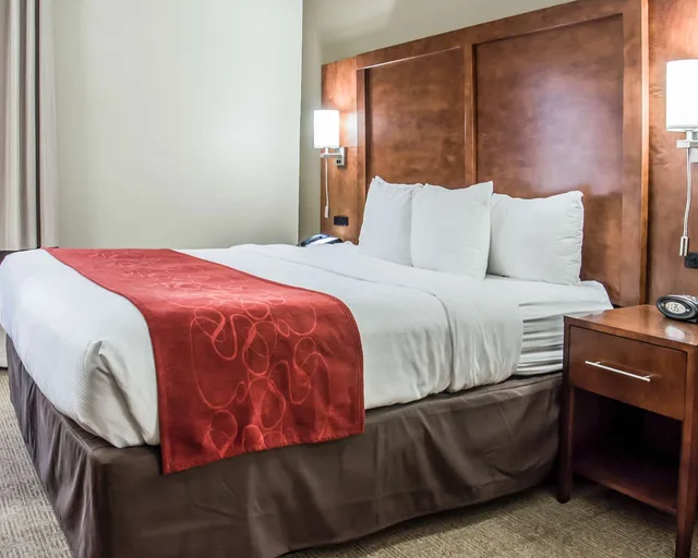 جناح بسرير كينج لذوي الإعاقة، Comfort Suites University - Research Park 1/2