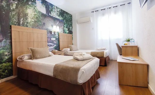 غرفة قياسية بسريرين منفصلين، Hotel El Tajo and Spa 3/10