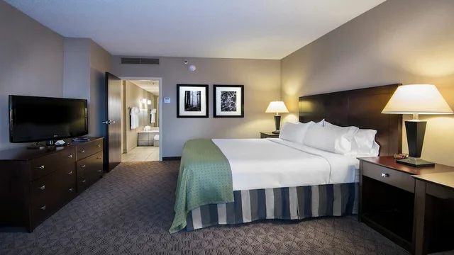 1 Bedroom, Suite, Single Bed, Sofa, Holiday Inn Springdale/Fayetteville Area 4/7