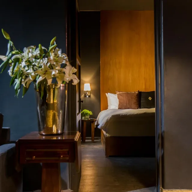 Premium, Suite, BUNGALOWS DEMETRIA 6/8