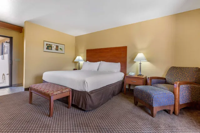 Suite, King Bed, Adult Only, Accessible, Best Western Cottonwood Inn 6/10