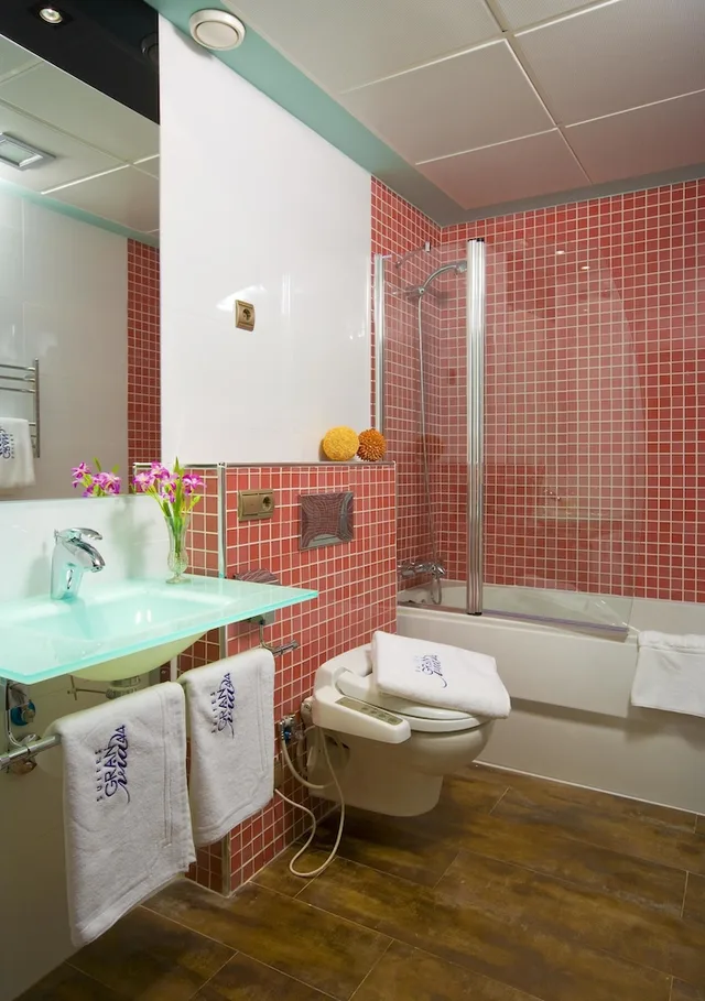 جناح بسرير مزدوج، Suites Gran Via 44 Hotel 3/3