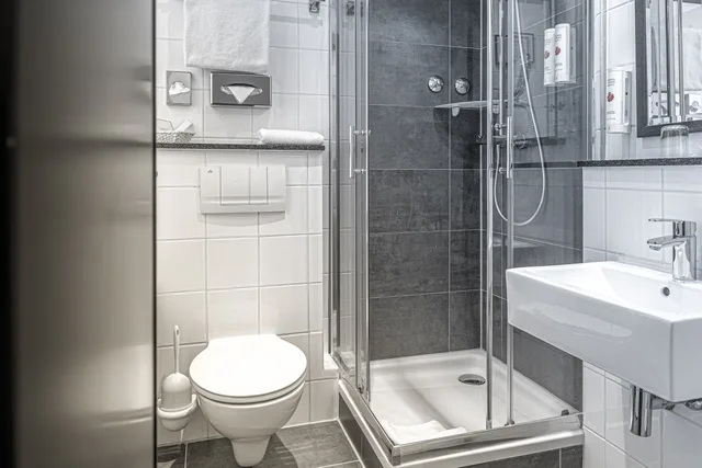 غرفة مفردة، Ramada By Wyndham Frankfurt Central Station 3/14
