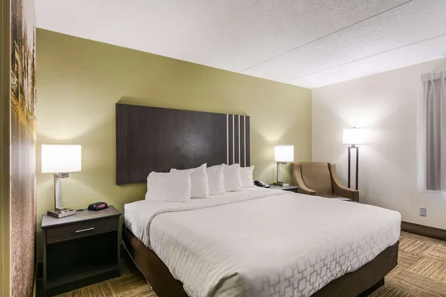 Upgrade, King Bed، Clarion Pointe Jamestown - Falconer 1/2