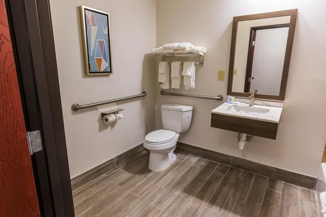 جناح بسرير كينج مع أريكة بمنطقة جلوس لذوي الإعاقة، Comfort Inn & Suites New Iberia - Avery Island 3/3