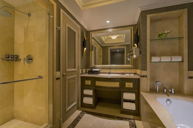غرفة ديلوكس بإطلالة على المدينة، Ritz Carlton Santiago 5/5
