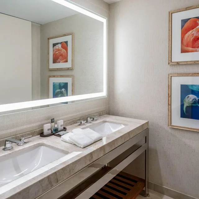 Guest Room, 2 Queen Beds, Water Park View, Gulf Coast Tower, Accessible, Gaylord Palms Resort & Convention Center 6/10