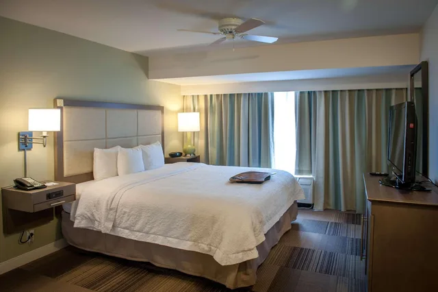 1 Bedroom, Suite, King Bed, Sofa, Hampton Inn & Suites New Orleans-Elmwood/Clearview Parkway Area 2/4