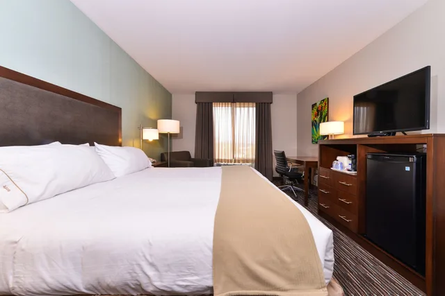 غرفة قياسية بسرير كينج، Holiday Inn Express Hotel & Suites Indio - Coachella Valley 2/6