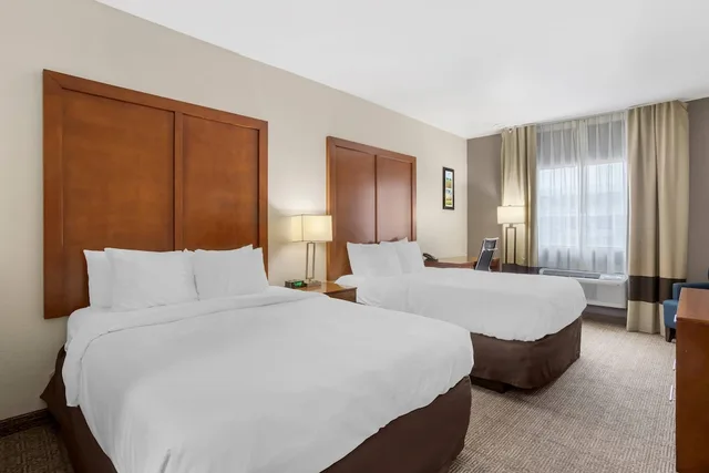 جناح بسريرين كوين مع أريكة لذوي الإعاقة، Comfort Suites Brenham, TX 1/3