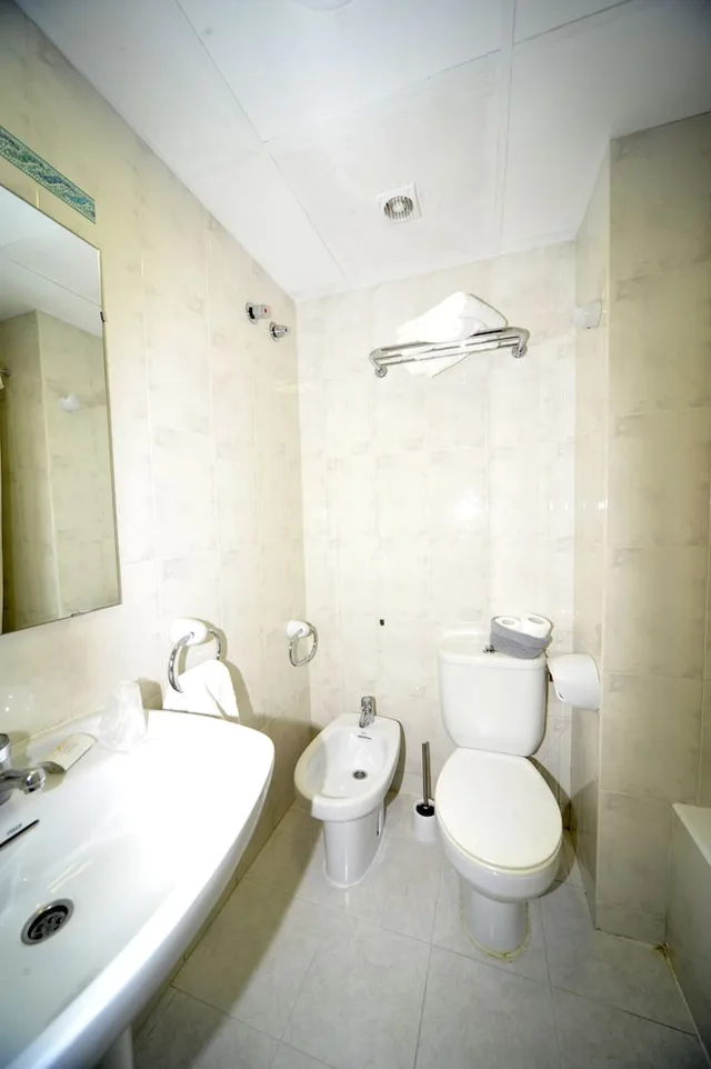 Room, Double Bed, Hotel Vall d'Aneu 7/7