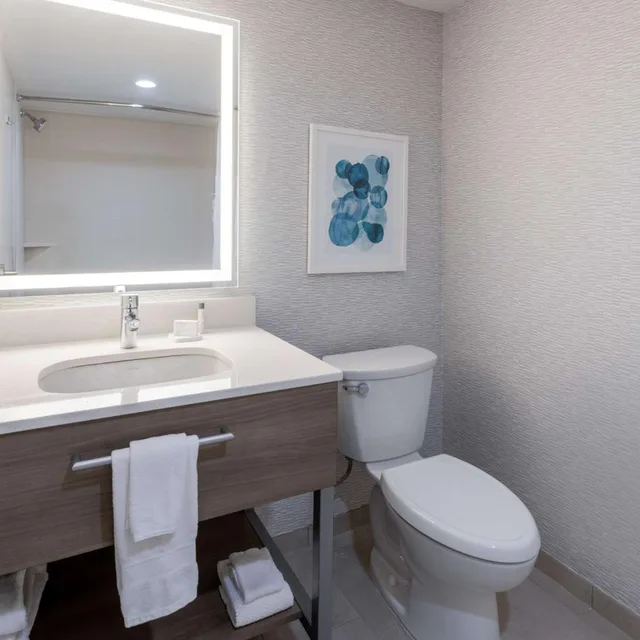جناح بسرير كوين مع أريكة لذوي الإعاقة، Hampton Inn & Suites Venice Bayside South Sarasota 7/9