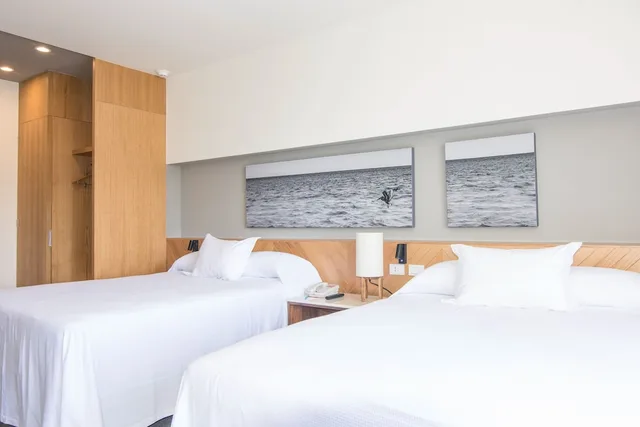 Deluxe, King Bed, Partial Bay View، Hotel Mio Vallarta - Adults Only 3/10