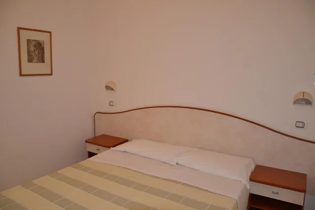 غرفة بسرير مزدوج، Hotel Ariston 4/10