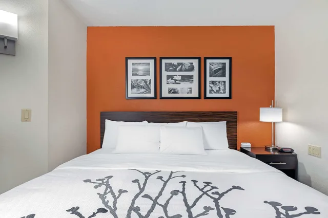 غرفة قياسية بسرير كوين، Sleep Inn DeWitt - Lansing North 4/8
