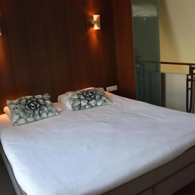 جناح بسرير كينج، Golden Tulip West Ende 1/6