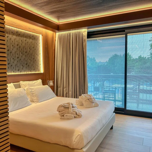 غرفة ديلوكس، Alevic Hotel Sirmione 1/4