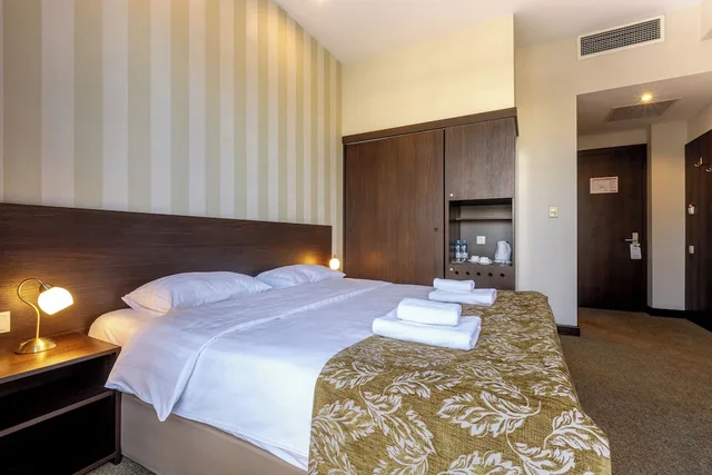 غرفة قياسية بسرير مزدوج، Citrus Hotel Tbilisi 8/10
