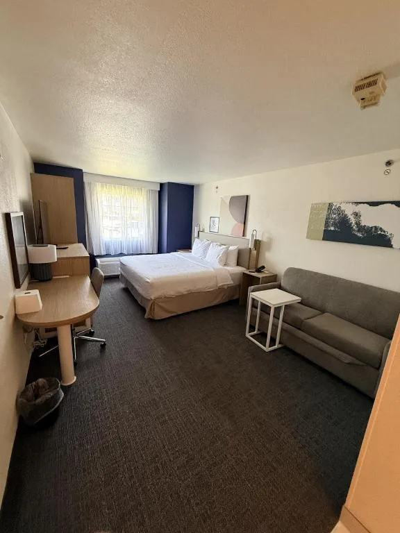 Room, King Bed, Sofa, Accessible, Spark by Hilton Appleton 2/10