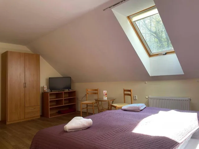 غرفة مفردة، Stary Pivovar Hotel 20/26