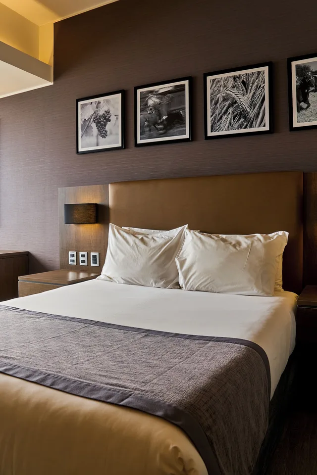 غرفة سوبيريور بسرير كينج، Hotel Terrado Rancagua 1/10
