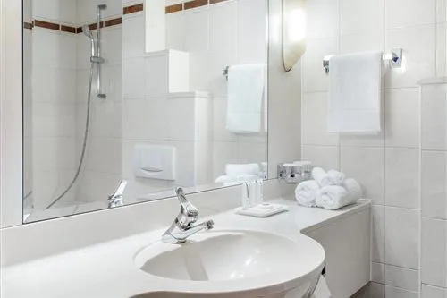 غرفة مفردة بسرير مزدوج، Panorama Prague Hotel 2/2