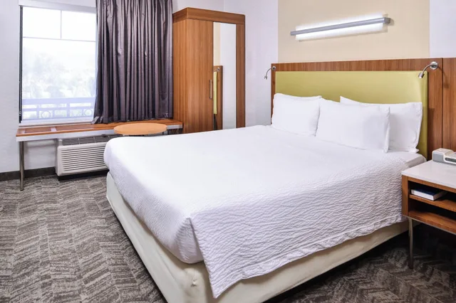 استوديو بسرير كينج لذوي الإعاقة، Springhill Suites Temecula Valley Wine Country 1/3