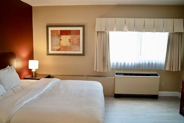 Basic, Apartment, King Bed, Sofa, Hotel Boston 4/7