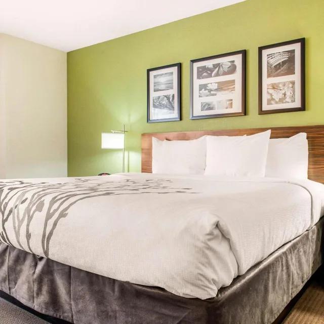 جناح بسرير كينج مع أريكة بحوض جاكوزي، Sleep Inn & Suites Columbus South 1/8
